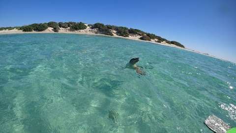 Photo: Sea Lion Charters